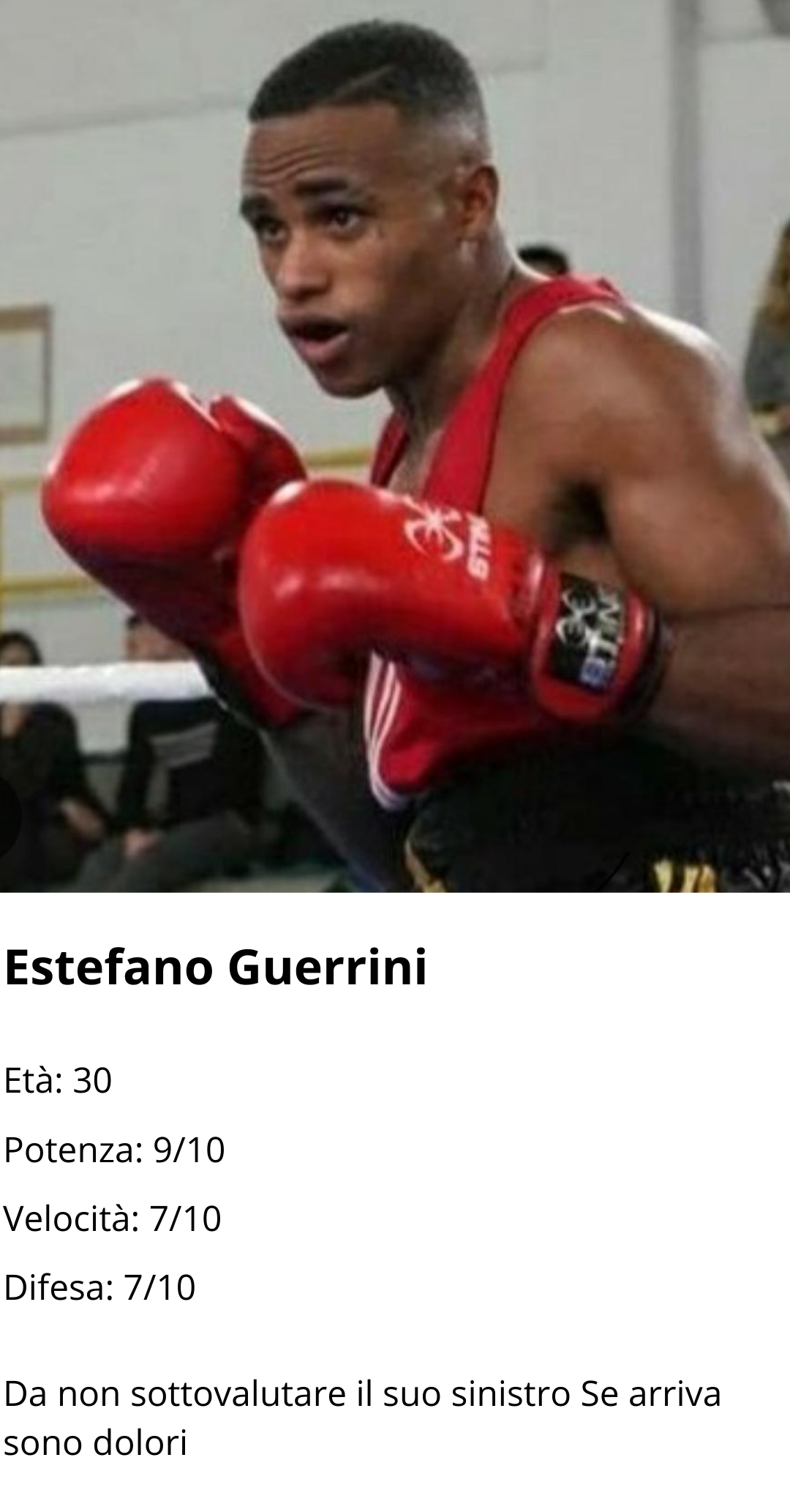 Estefano Guerrini